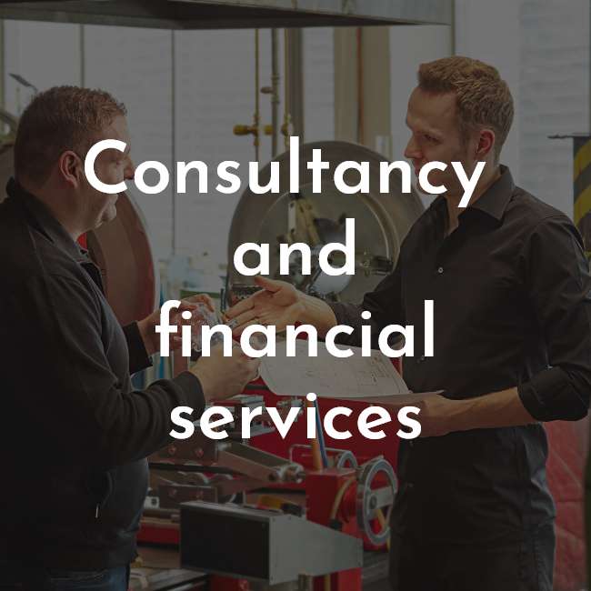 Consultancy and financial services